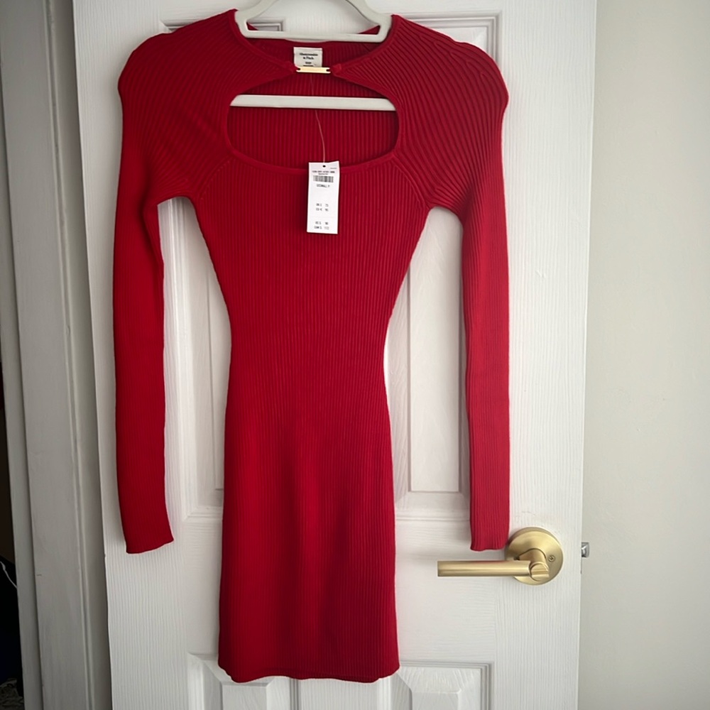 Red brand new with tag Abercrombie & Fitch dress